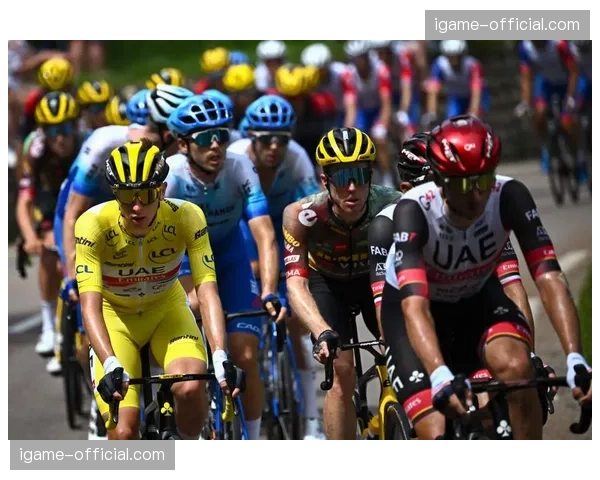 范阿尔特康复阶段进展缓慢，难以成为维斯玛车队夺冠有效助力